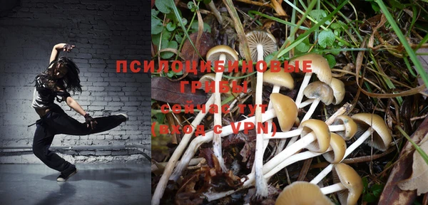 мяу мяу мука Гусев