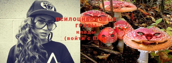гашиш Гусь-Хрустальный