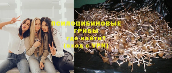 бошки Гусиноозёрск