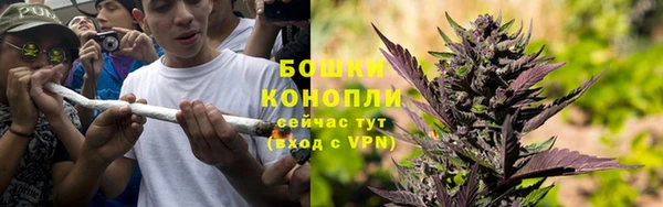 бошки Гусиноозёрск