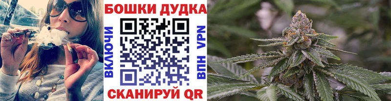 Конопля сатива Пушкино